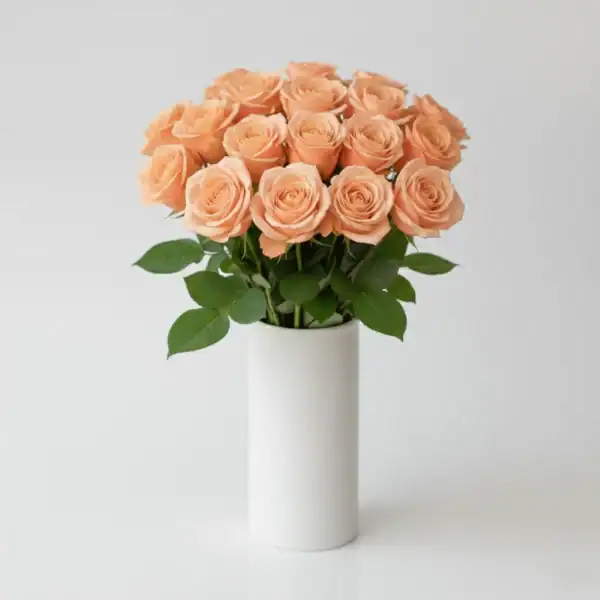 Peach Roses in a vase