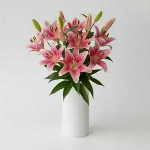 Lilies
