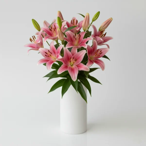 Pink Asiatic Lilies in a Vase