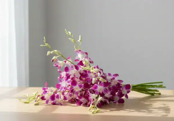 Puple Orchids on Table