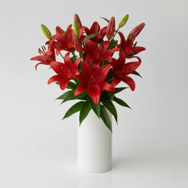 Red Asiatic Lilies in a vase