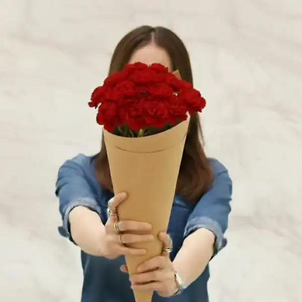 Red Carnations held in hands by a woman