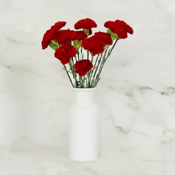 Red Carnations in a vase