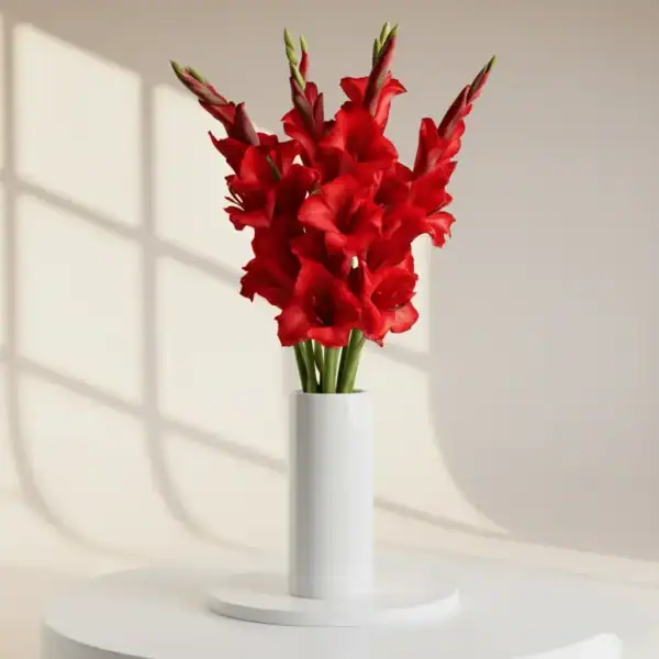 Red Gladiolus in a vase