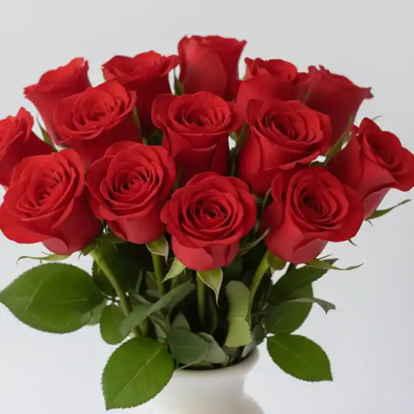 Red Roses kept in a vase