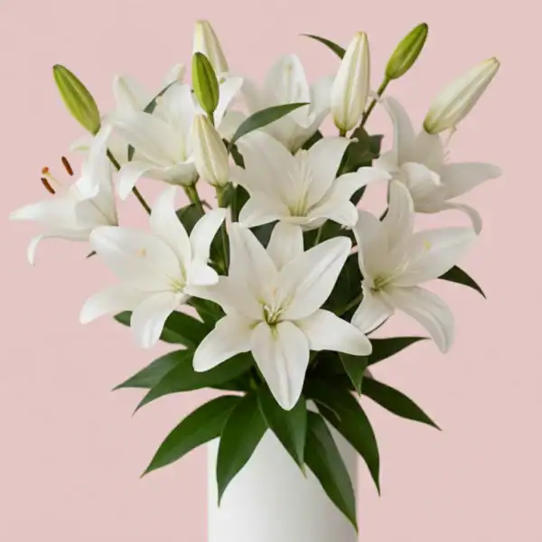 White Asiatic Lilies close up view