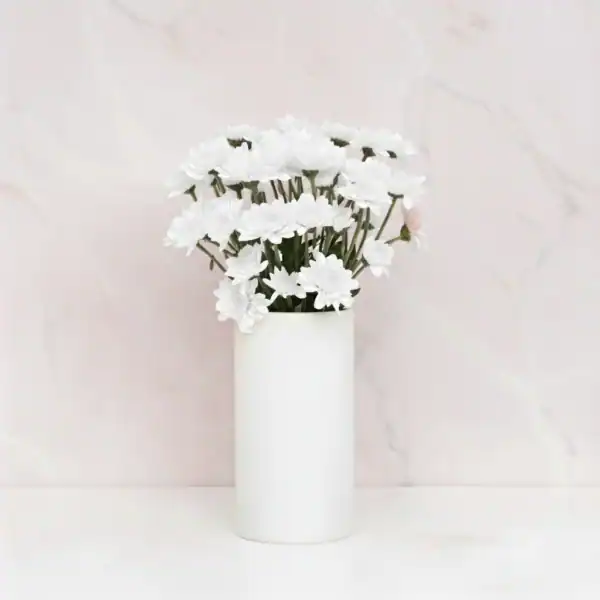 White Chrysanthemum in a Vase