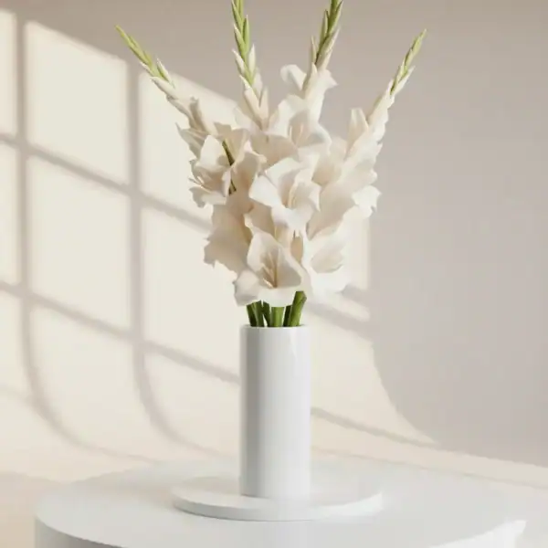 White Gladiolus in a vase