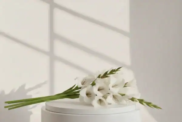 White Gladiolus on a table