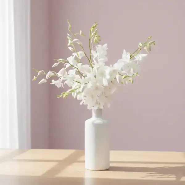White Orchids in a Vase