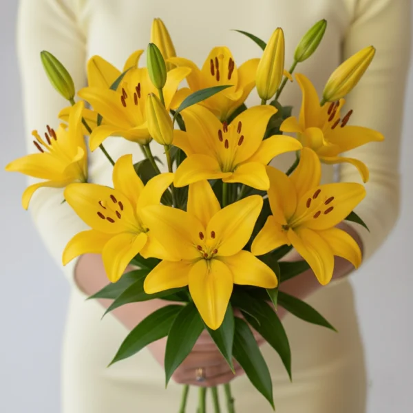 Yellow Asiatic Lily held in Hands