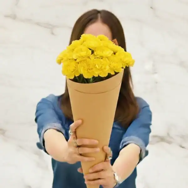 Yellow Carnations held in hands by a woman