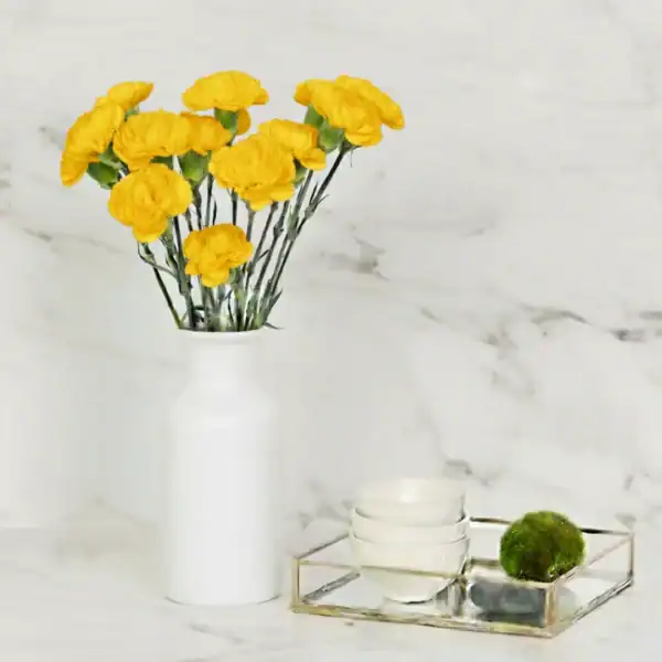 Yellow Carnations in a vase