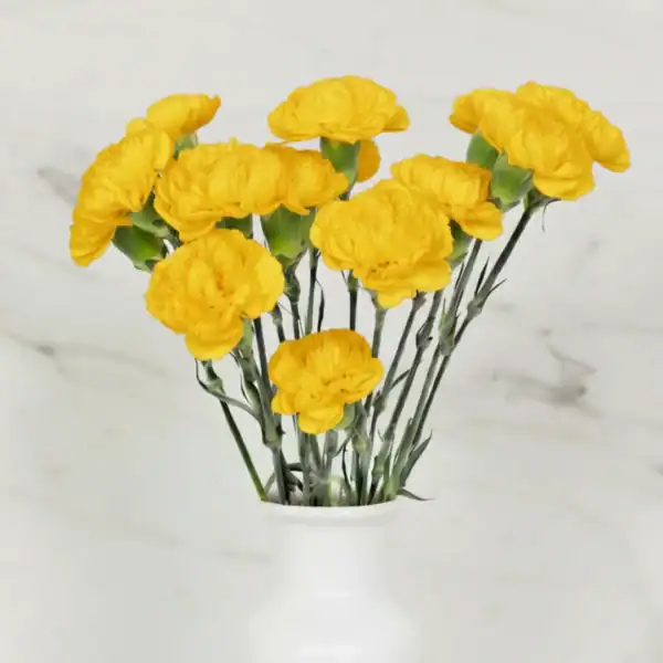 Yellow Carnations near me