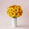 Yellow Gerberas