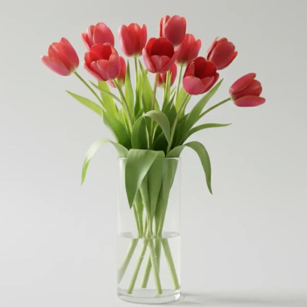 Red Tulips in a vase