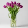 Purple Tulips