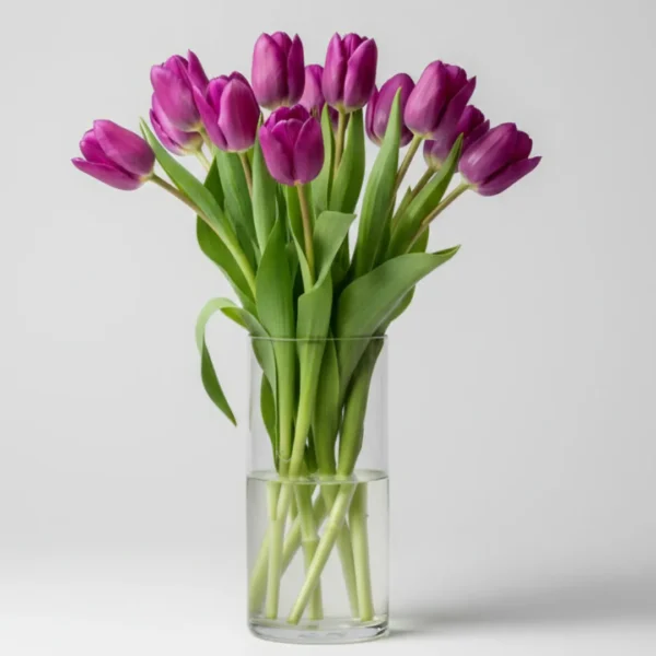 Purple Tulips in a vase