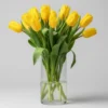 Yellow Tulips