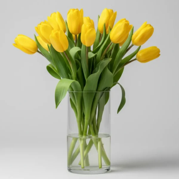 Yellow Tulips in a vase