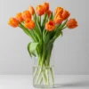 Orange Tulips