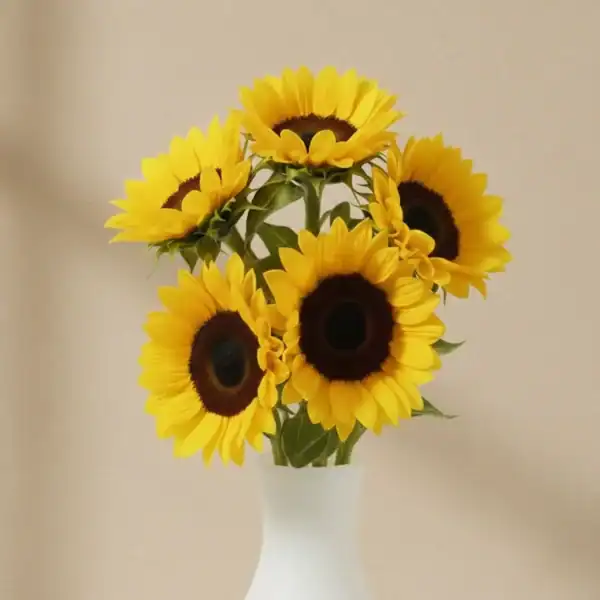 Beautiful Sunflowers