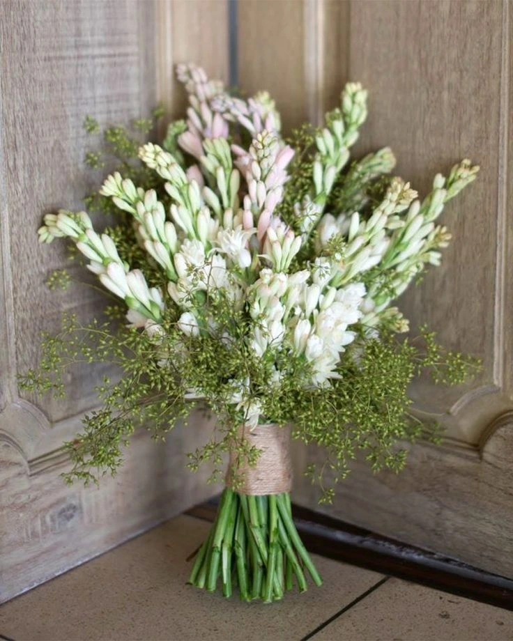 Bunch of tuberose