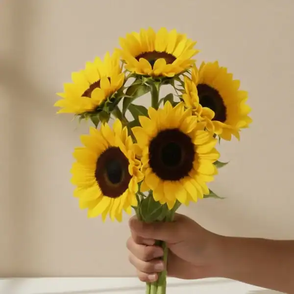 Sunflowers held in hand