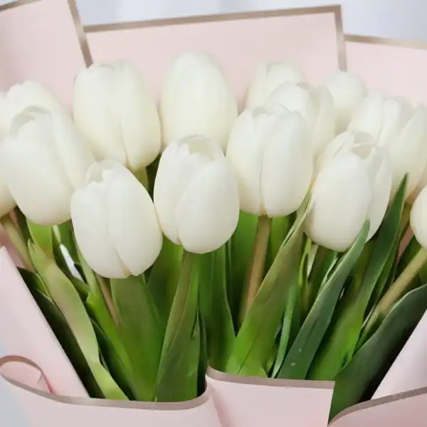 White tulips bouquet wrapped beautifully in Korean Paper