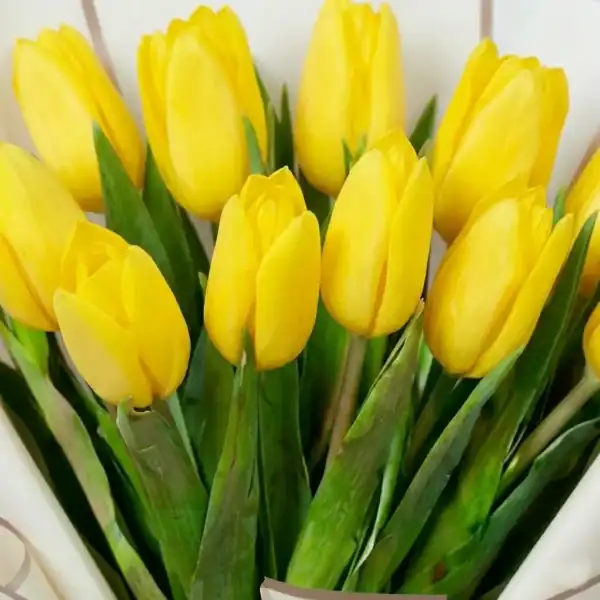 Yellow tulip flowers bouquet wrapped beautifully