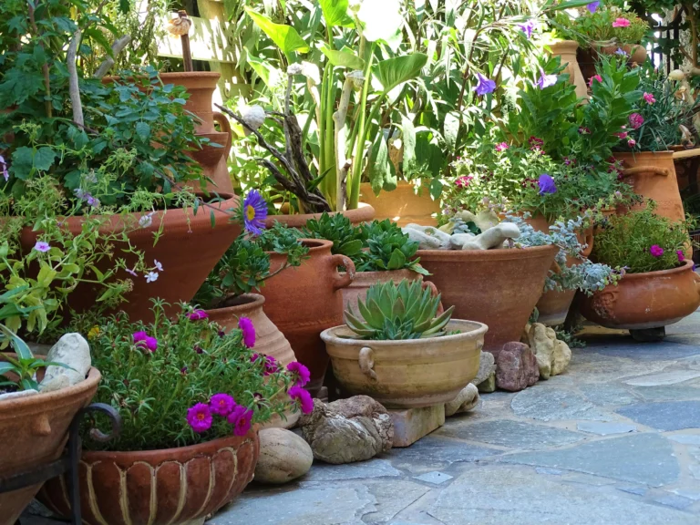 Garden flowers