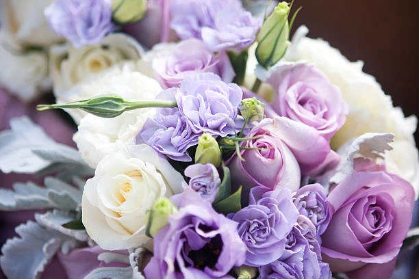 Purple rose