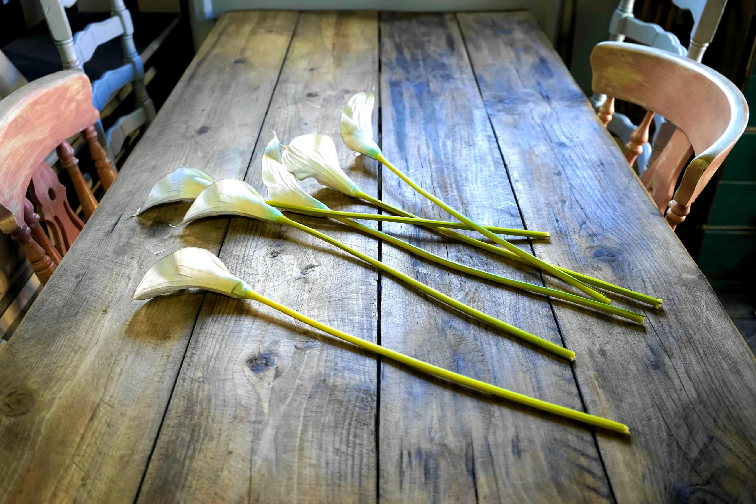 arum lily flower