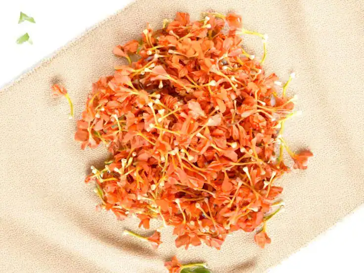 How to Grow & Care for Kanakambaram Flower | Expert Guide