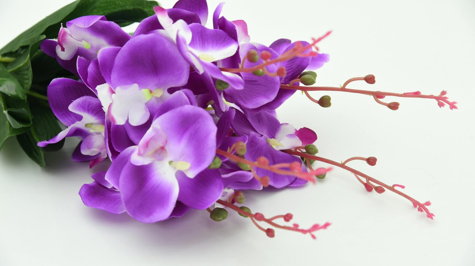 Purple orchid bouquet lying against white background 