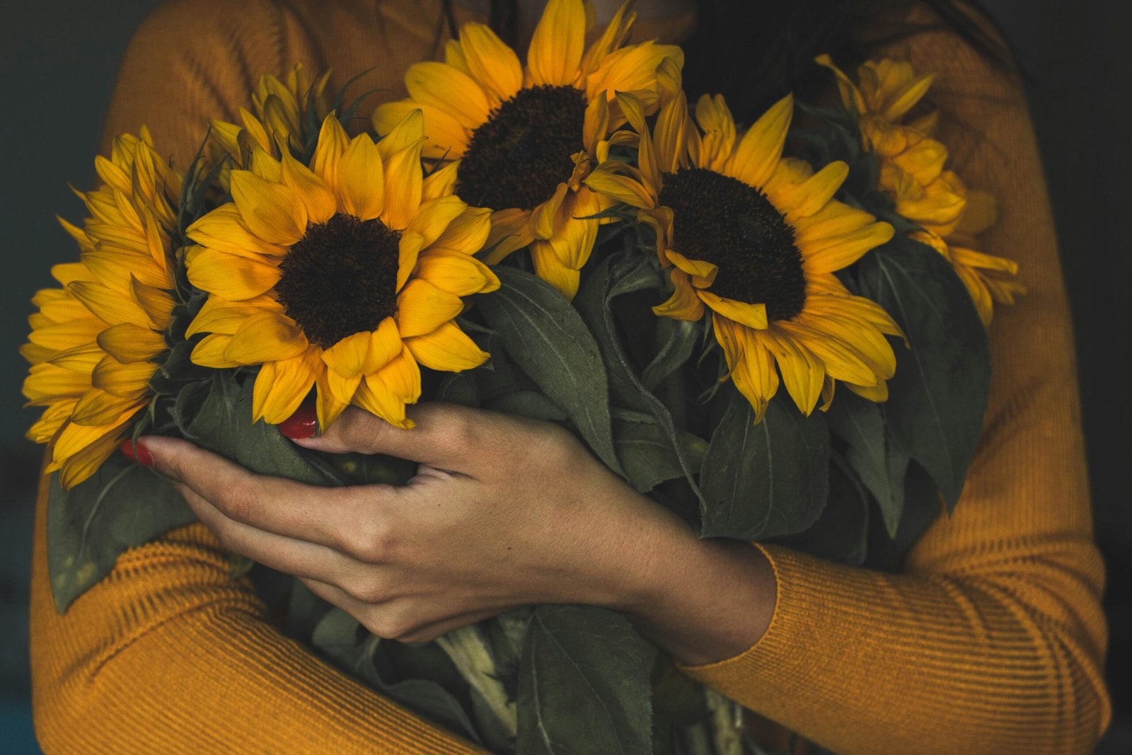 Woman holding a bunch of vibrant sunflowers