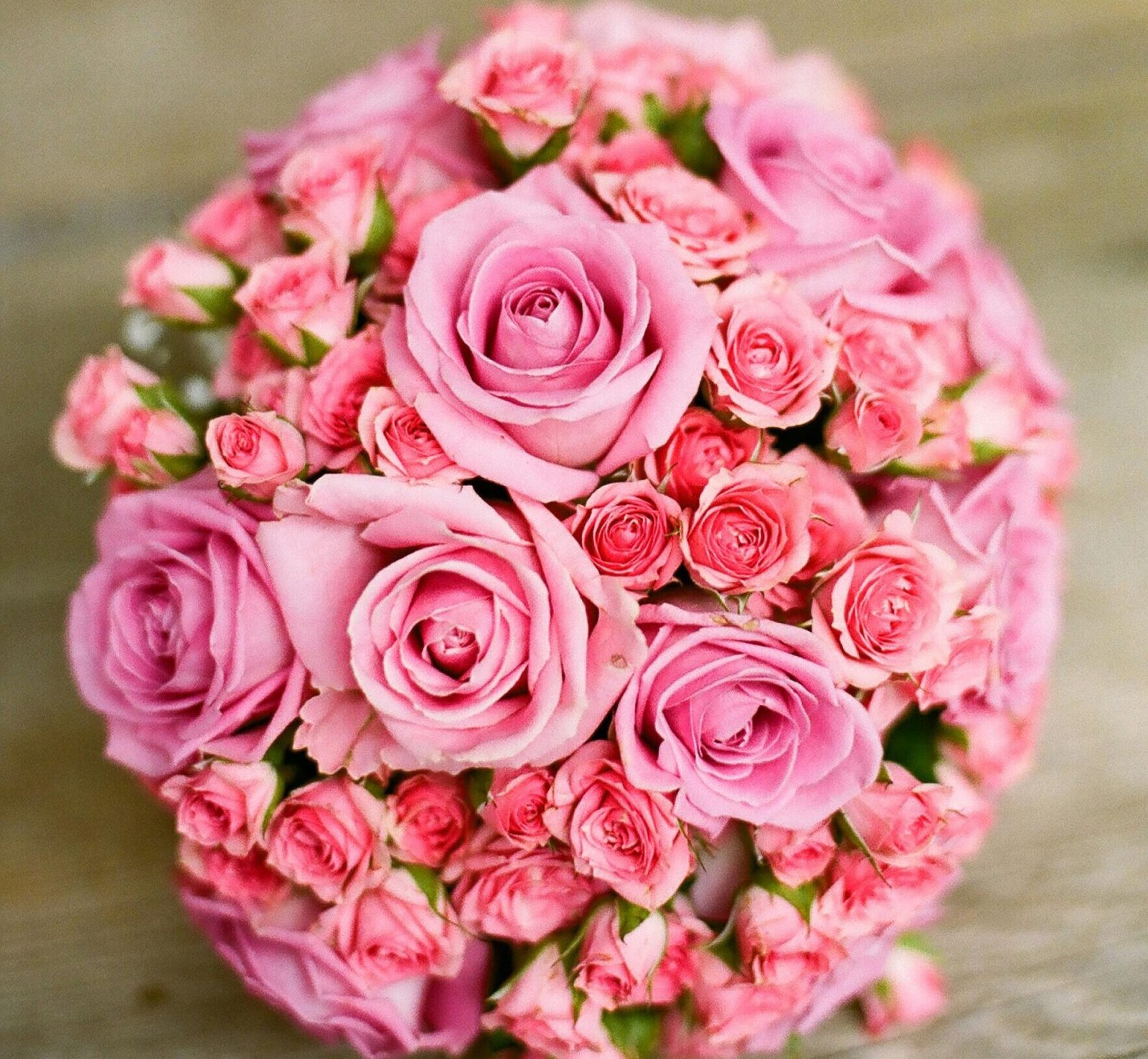 I beautiful bouquet of pink roses in close up 