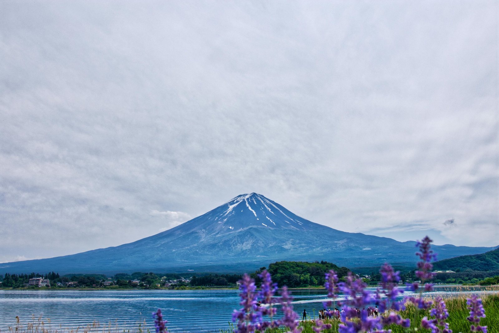 Snow-capped Mountain with a calm lake in the foreground and purple flowers in soft focus