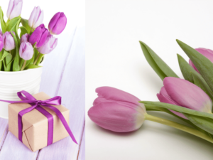 Purple tulips in a white pot beside a gift box tied with a purple ribbon on the left, and close-up of pink tulips on the right