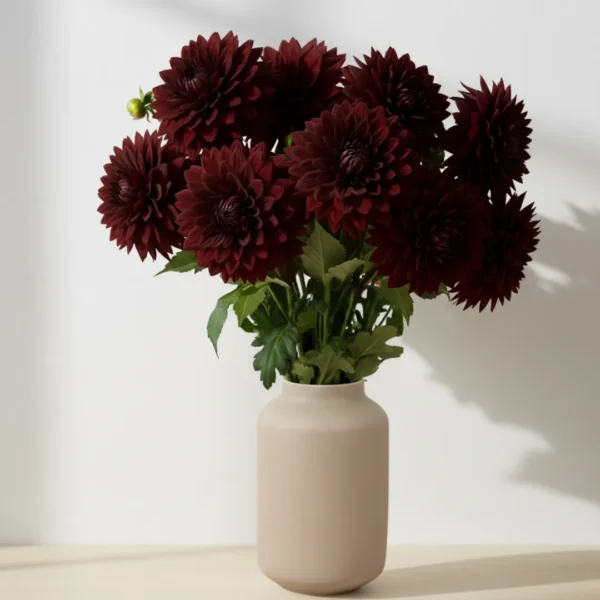 Burgundy Dahlias in a vaseBurgundy Dahlias in a vase