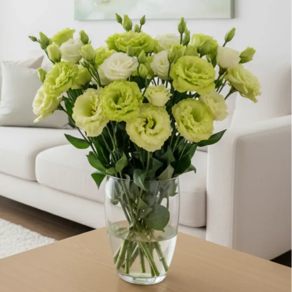 Green Eustoma in a vase