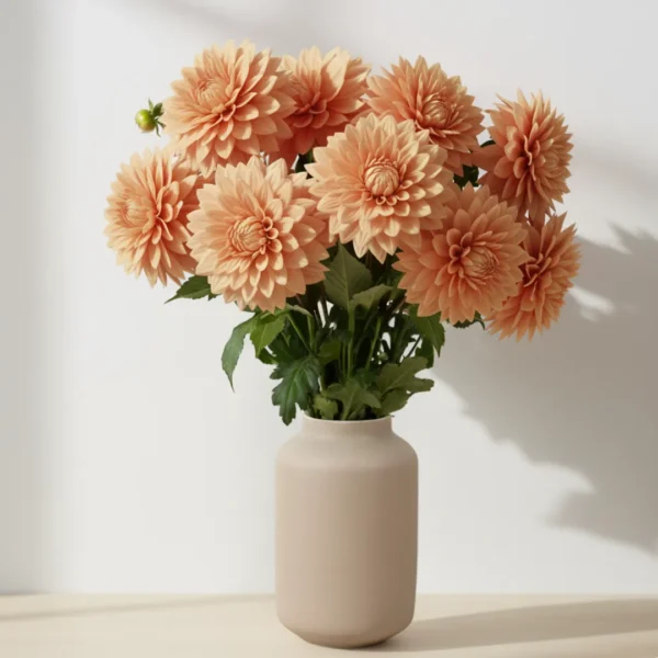 Peach Dahlias in a vase