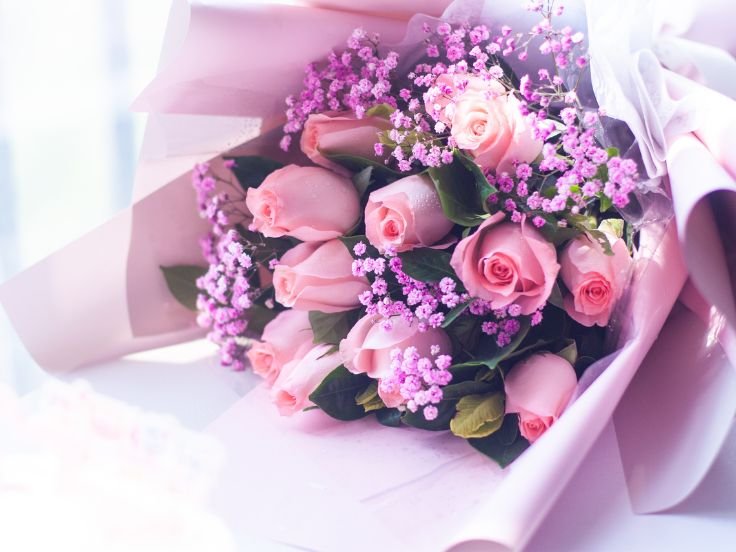 Charming pink roses bouquet wrapped beautifully for a thoughtful gift.