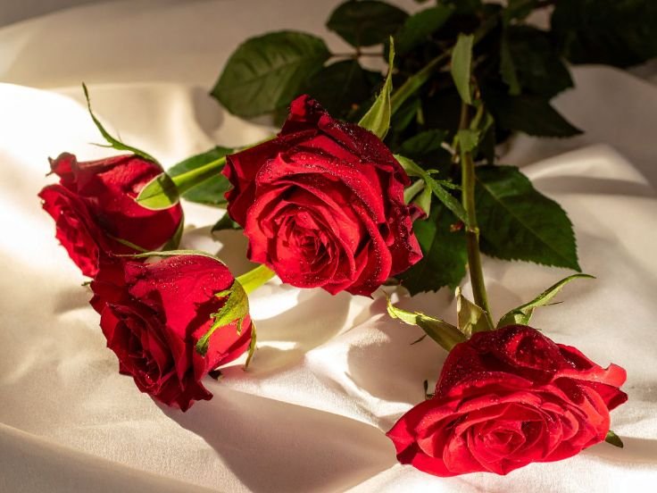 Classic rose bouquet gift that creates unforgettable memories and emotional connections.