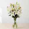 White Oriental Lilies