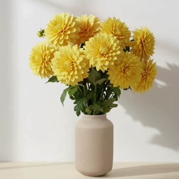 Yellow Dahlias in a vase
