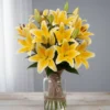 Yellow Oriental Lilies