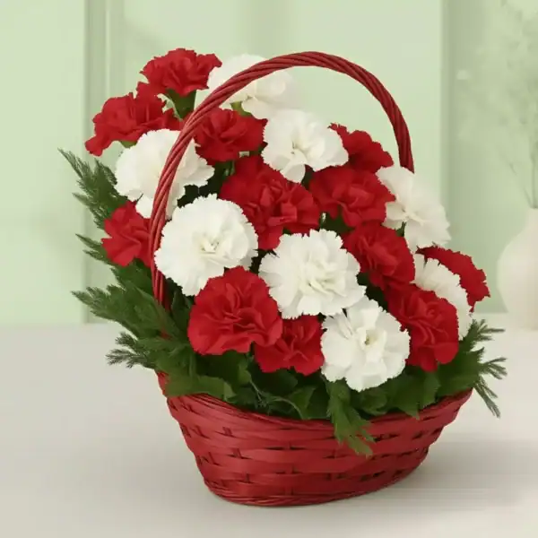 Basket with red & white carnations. The perfect Chritmas gift.
