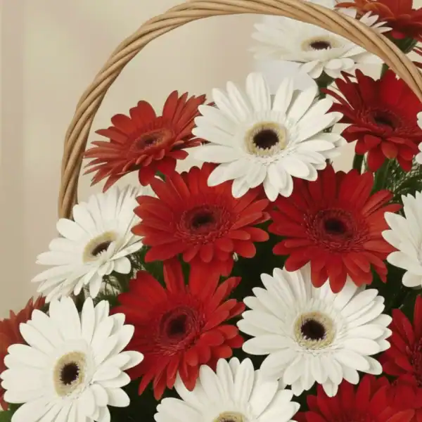 Beautiful Basket with Red & White Gerbera