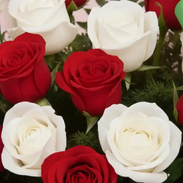 Beautiful Basket with Red & White Roses